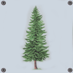 Puzzelbilder Baum