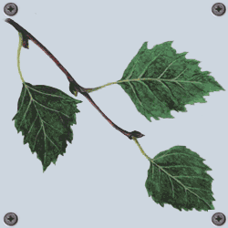Puzzelbilder Blatt