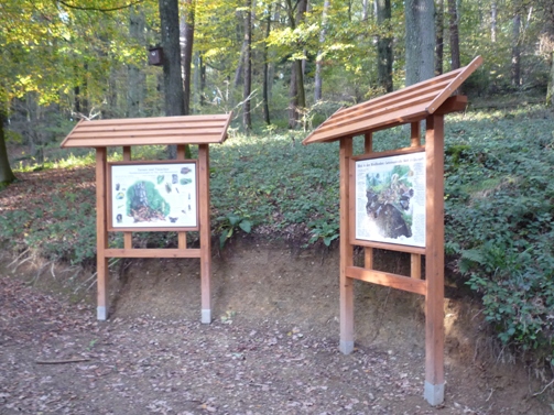 Waldboden